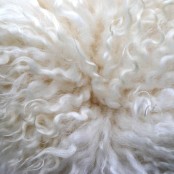 Maison Thuret - Coussin En Peau De Mouton Islandais Frisé Blanc
